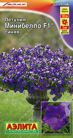 Петуния мини Минибелло F1 синяя многоцветковая, 5 шт (Аэлита) Петуния мини Минибелло F1 синяя многоцветковая, 5 шт (Аэлита)