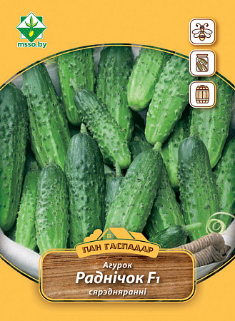 Огурец Родничок F1, 3 г (Пан Гаспадар) (МССО) Огурец Родничок F1, 3 г (Пан Гаспадар) (МССО)