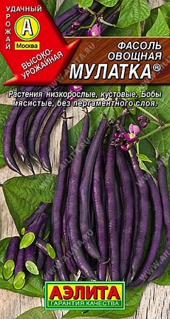 Фасоль овощная Мулатка, 5 г Фасоль овощная Мулатка, 5 г