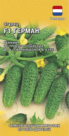Огурец Герман F1, 5 шт (Голландия)