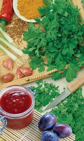 Кориандр (кинза) Ткемали, 2 г (УД) Кориандр (кинза) Ткемали, 2 г (УД)