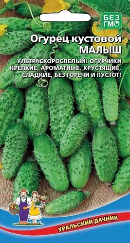 Огурец Малыш (УД) Огурец Малыш (УД)