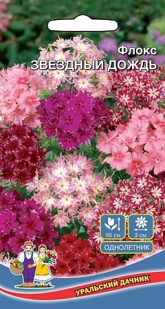 Флокс Звездный дождь (УД)