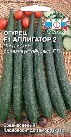 Огурец Аллигатор 2 F1, 0,2 г (Седек) Огурец Аллигатор 2 F1, 0,2 г (Седек)