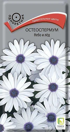 Остеоспермум Небо и лед 0,1 г (Поиск) Остеоспермум Небо и лед 0,1 г (Поиск)