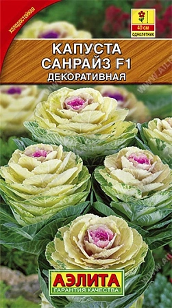 Капуста декоративная Санрайз F1, 6 шт