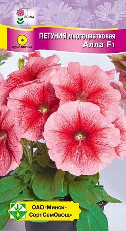 Петуния гибридная многоцветная Алла F1, 10 шт (МССО) Петуния гибридная многоцветная Алла F1, 10 шт (МССО)