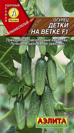 Огурец Детки на ветке F1, 10 шт (Аэлита) Огурец Детки на ветке F1, 10 шт (Аэлита)