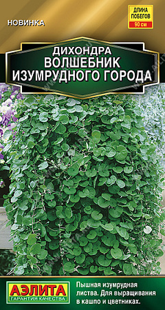 Дихондра Волшебник Изумрудного города, 3 шт (Аэлита)