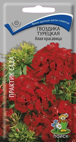 Гвоздика турецкая Алая Красавица, 0,5 г Гвоздика турецкая Алая Красавица, 0,5 г