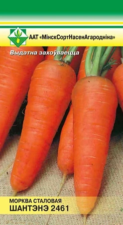 Морковь Шантенэ 2461, 1,5 г (МССО)