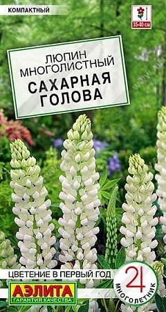 Люпин Сахарная голова 7 шт (АЭЛИТА)