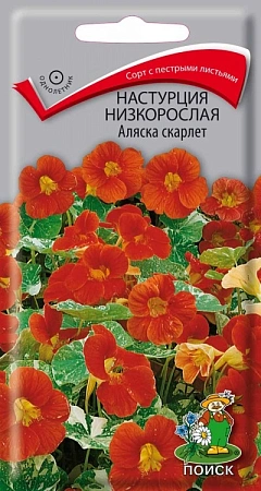 Настурция низкорослая Аляска скарлет, 1 г (Поиск)