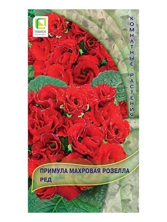 Примула махровая Розелла Ред 5 шт