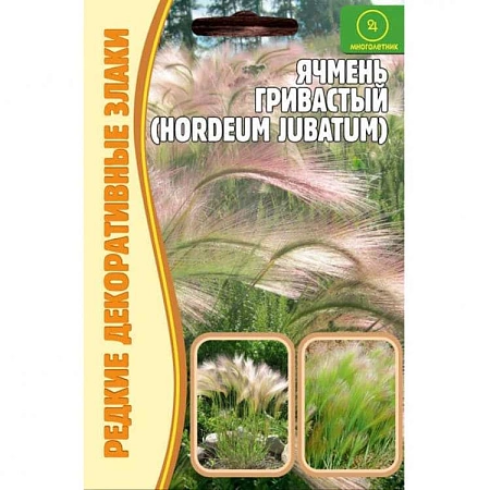 Ячмень гривастый, 0,1 г (Ред.сем)