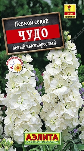 Левкой высокорослый Чудо белый, 0,1 г Левкой высокорослый Чудо белый, 0,1 г