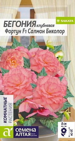 Бегония Фортун Салмон Биколор 5 шт Бегония Фортун Салмон Биколор 5 шт