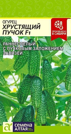 Огурец Хрустящий пучок F1, 6 шт (Сем Алт)
