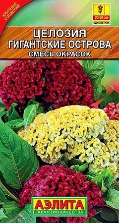 Целозия серебристая Гигантские острова, смесь окрасок 0,05 г (АЭЛИТА) Целозия серебристая Гигантские острова, смесь окрасок 0,05 г (АЭЛИТА)