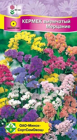 Кермек выемчатый Мерцание, смесь 0,15 г (МССО) Кермек выемчатый Мерцание, смесь 0,15 г (МССО)