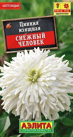 Цинния Снежный человек кактусовидная 0,3 г