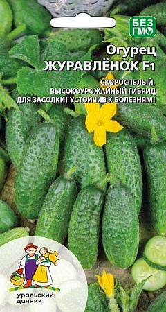 Огурец Журавленок F1 (УД) Огурец Журавленок F1 (УД)