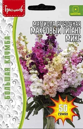 Маттиола Махровый Гигант срезочная микс однолетник, 50 шт (Ред.сем)