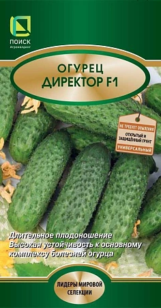 Огурец Директор F1, 5 шт (Поиск)