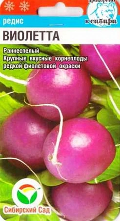 Редис Виолетта, 2 г Редис Виолетта, 2 г