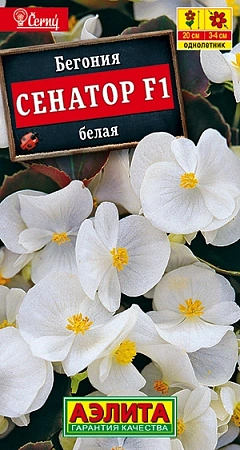 Бегония Сенатор F1 белая, 10 шт (Аэлита)