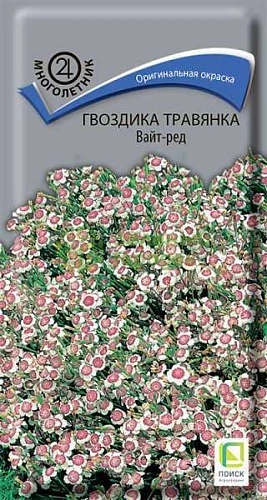 Гвоздика травянка Вайт Ред, 0,1 г (Поиск) Гвоздика травянка Вайт Ред, 0,1 г (Поиск)