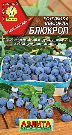 Голубика высокая Блюкроп 0,01 г