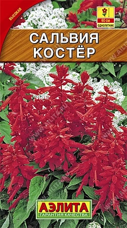 Сальвия Костер, 0,1 г (Аэлита) Сальвия Костер, 0,1 г (Аэлита)