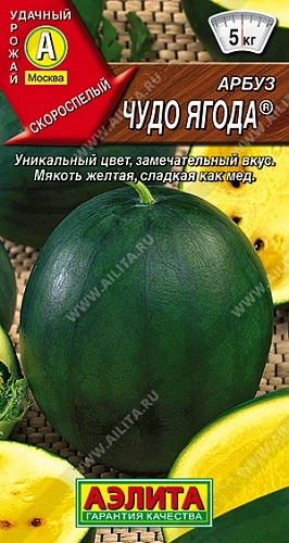 Арбуз Чудо ягода, 1 г (АЭЛИТА) Арбуз Чудо ягода, 1 г (АЭЛИТА)