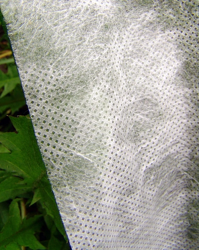 Спанбонд "СпанБел" 17г/м2 4,2 х 13 метров Спанбонд "СпанБел" 17г/м2 4,2 х 13 метров