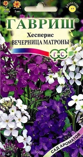 Хесперис Вечерница матроны, 0,1 г (Гавриш) Хесперис Вечерница матроны, 0,1 г (Гавриш)