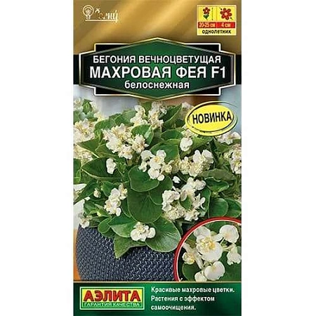 Бегония вечноцветущая махровая Фея F1 белоснежная, 5 шт (Аэлита)
