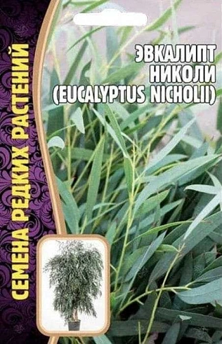 Эвкалипт Николи 0,01 г (Ред сем) Эвкалипт Николи 0,01 г (Ред сем)