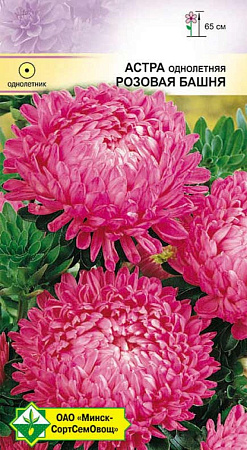 Астра Пионовидная Розовая башня, 0,3 г (МССО)