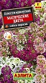 Алиссум Магические цвета, смесь 0,3 г (АЭЛИТА) Алиссум Магические цвета, смесь 0,3 г (АЭЛИТА)