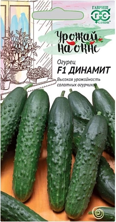 Огурец Динамит F1, 10 шт (ГАВРИШ)