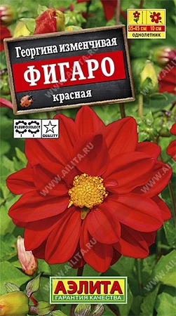 Георгина Фигаро махровая красная, 7 шт (АЭЛИТА)