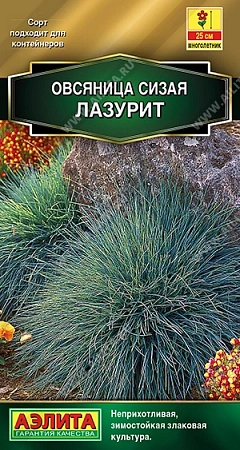 Овсяница сизая Лазурит, 5 шт (Аэлита)
