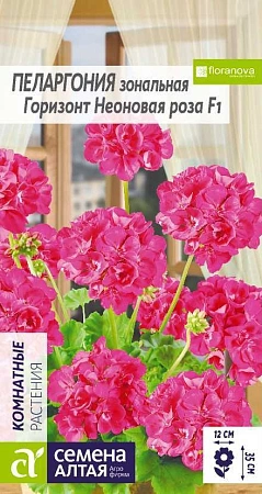 Пеларгония Неоновая роза, 4 шт Пеларгония Неоновая роза, 4 шт