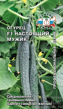 Огурец Настоящий мужик F1, 0,2 г (СеДек)