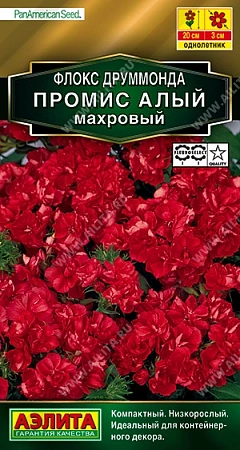 Флокс махровый Промис алый, 10 шт