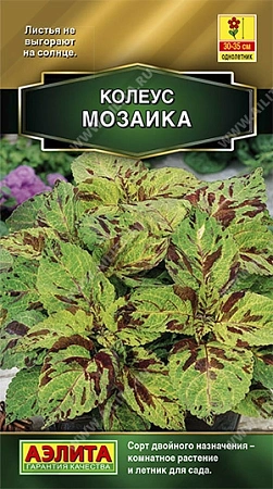 Колеус блюме Мозаика, 10 шт