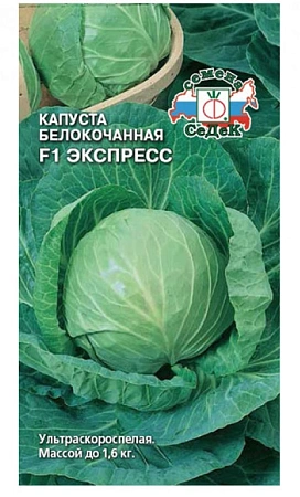 Капуста белокочанная Экспресс F1 0,3 г Капуста белокочанная Экспресс F1 0,3 г