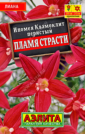 Ипомея Квамоклит Пламя страсти, 15 шт (Аэлита)