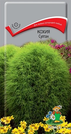 Кохия Султан 0,1 г